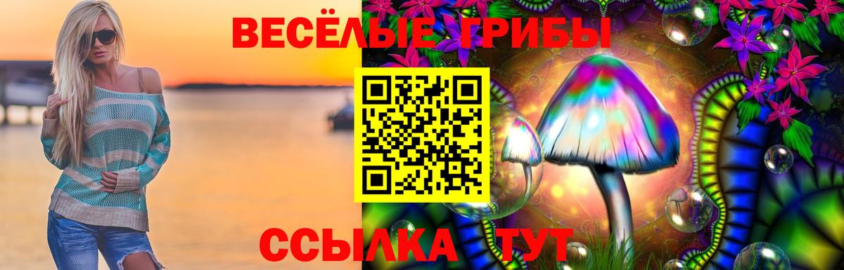 Псилоцибиновые грибы GOLDEN TEACHER Новокузнецк
