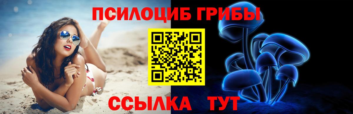 Галлюциногенные грибы MAGIC MUSHROOMS  Псилоцибиновые грибы Magic Shrooms  Новокузнецк  Вход с VPN 