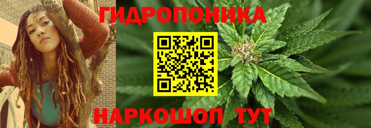 Новокузнецк  Каннабис Bruce Banner  Вход с VPN  Бошки марихуана ГИДРОПОН 